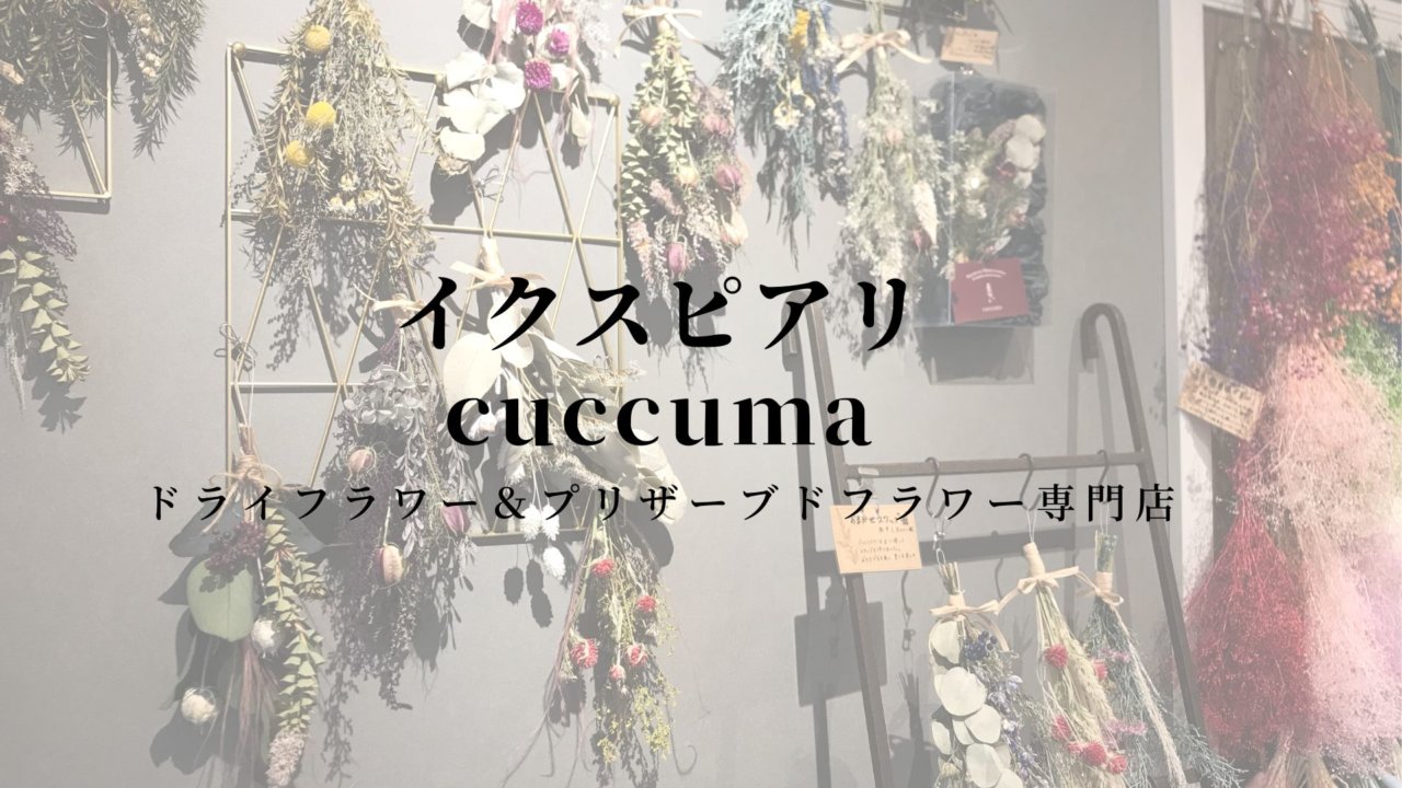 Cuccuma クックマ イクスピアリ 店内の雰囲気や料金を調べてみました 浦安ままらいふ