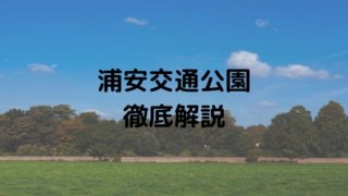 浦安市のふるさと納税返礼品 おすすめ4選 ディズニーグッズはあるの 浦安ままらいふ