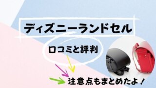 ディズニーガイドブック21 おすすめ本はコレだ 浦安ままらいふ